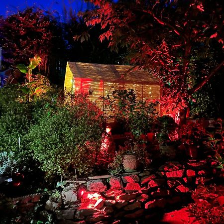 Bumble Bee Cottage Plymouth Exteriér fotografie