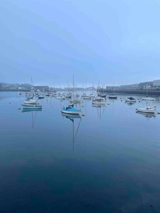 Bumble Bee Cottage Plymouth Exteriér fotografie